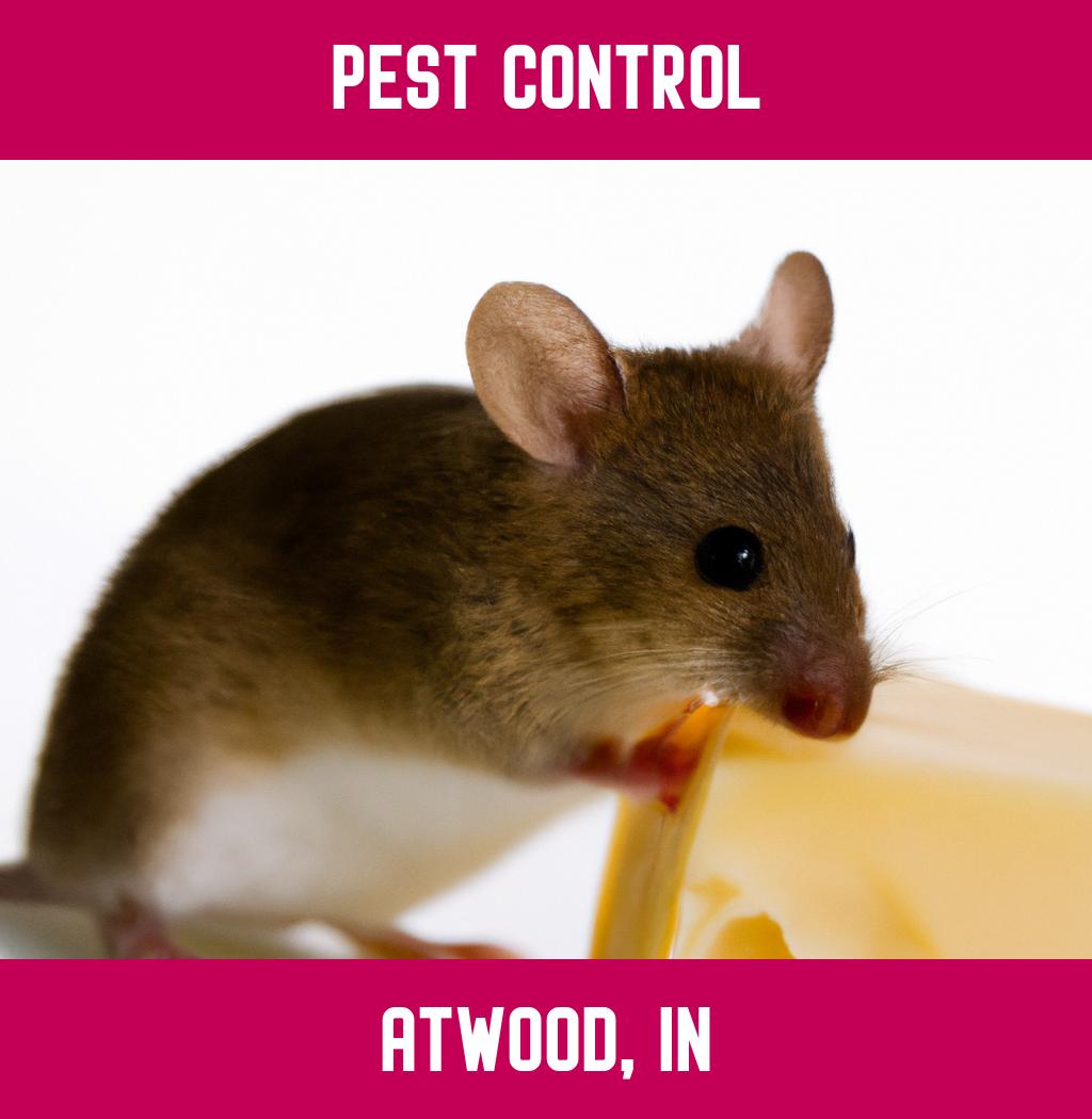 pest control in Atwood Indiana