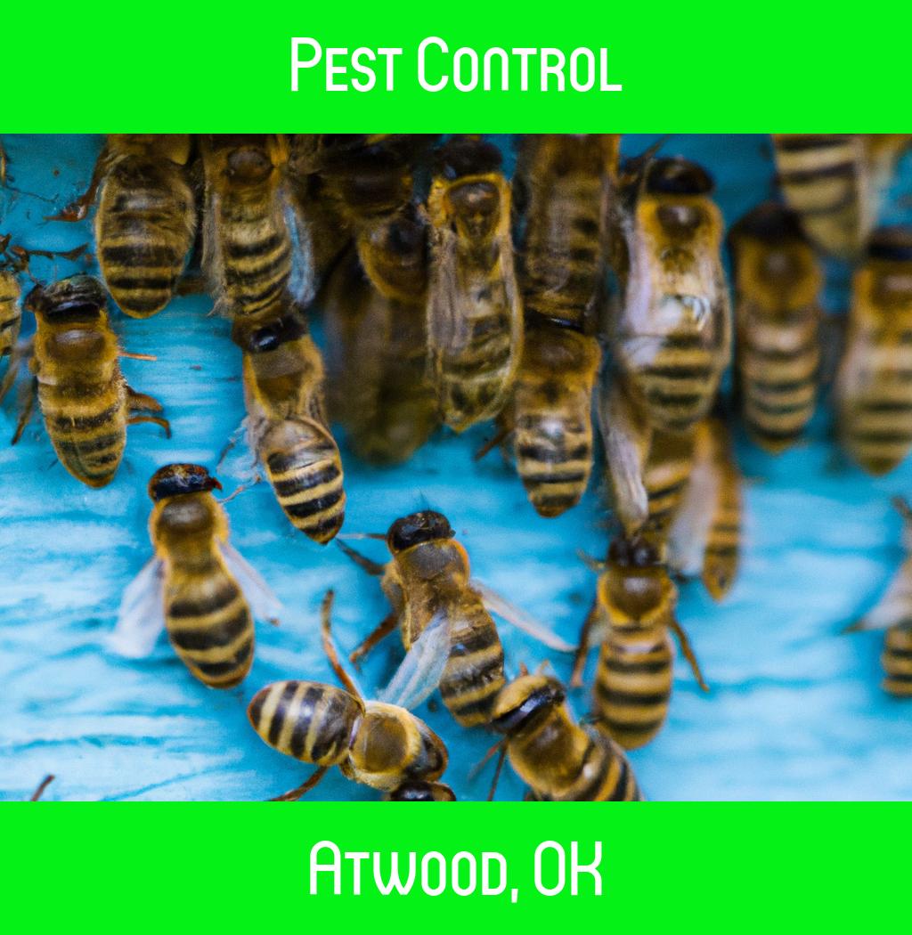 pest control in Atwood Oklahoma