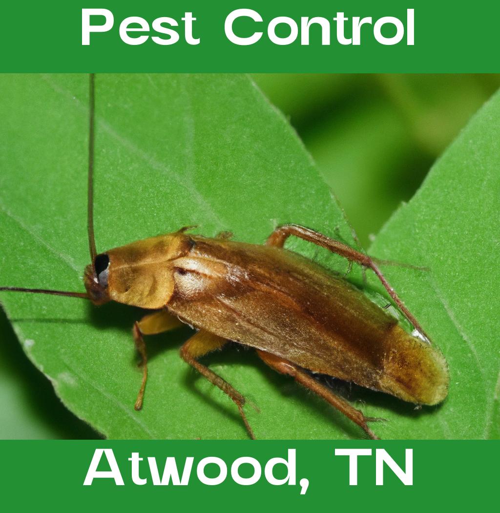 pest control in Atwood Tennessee