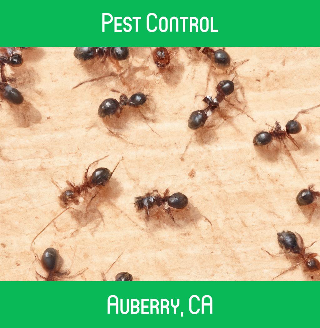 pest control in Auberry California