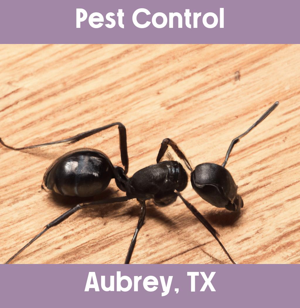 pest control in Aubrey Texas