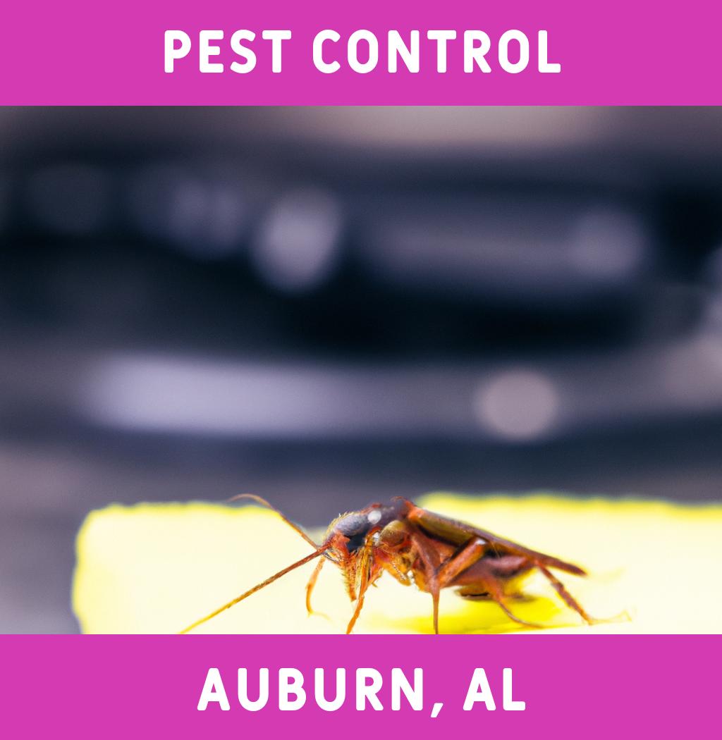 pest control in Auburn Alabama