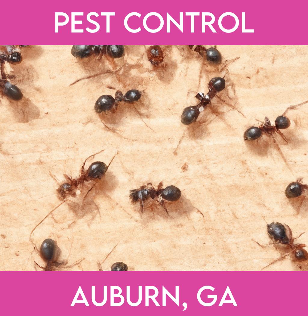 pest control in Auburn Georgia