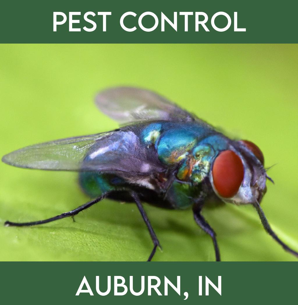 pest control in Auburn Indiana