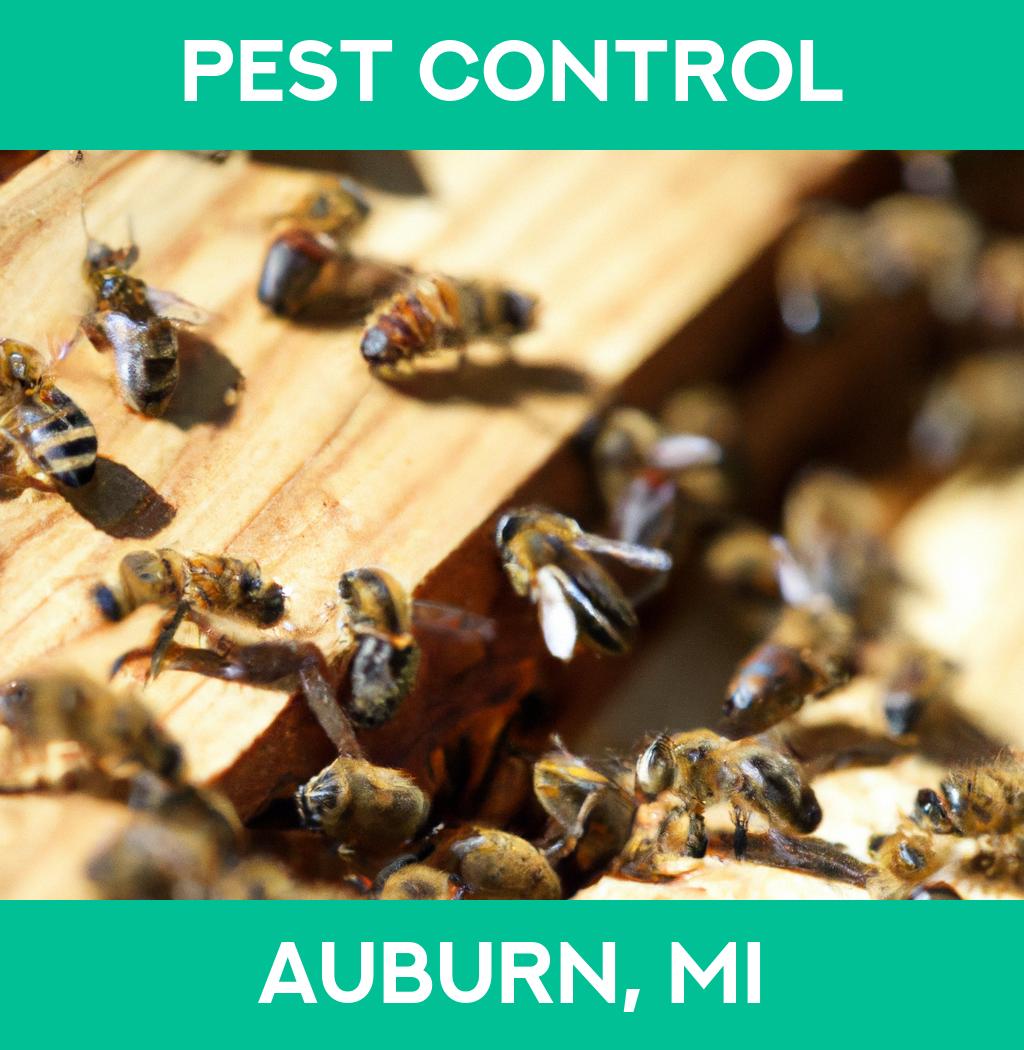 pest control in Auburn Michigan