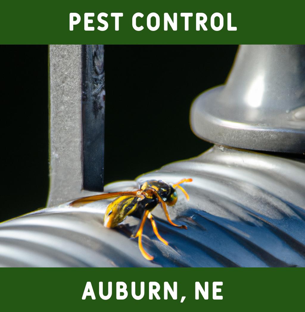 pest control in Auburn Nebraska