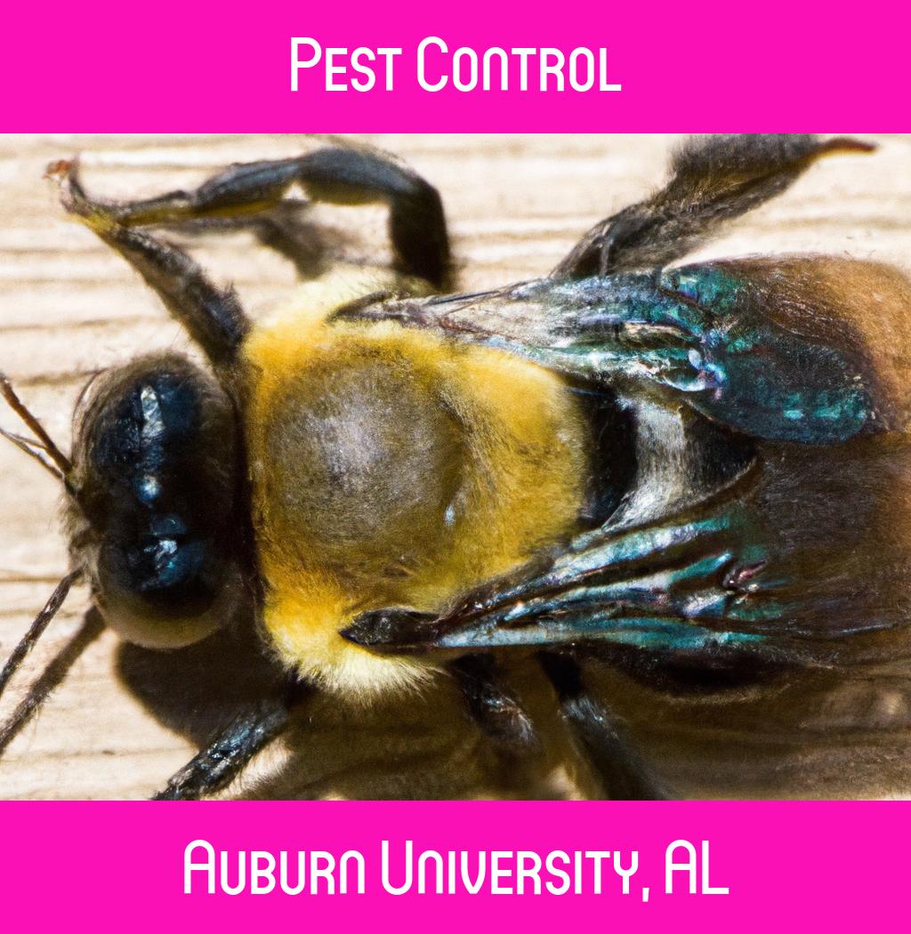 pest control in Auburn University Alabama
