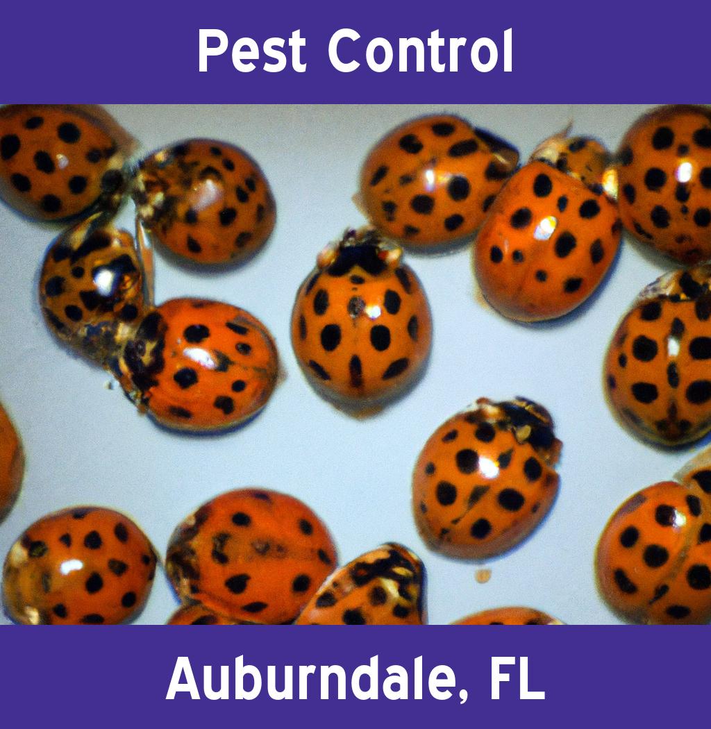 pest control in Auburndale Florida