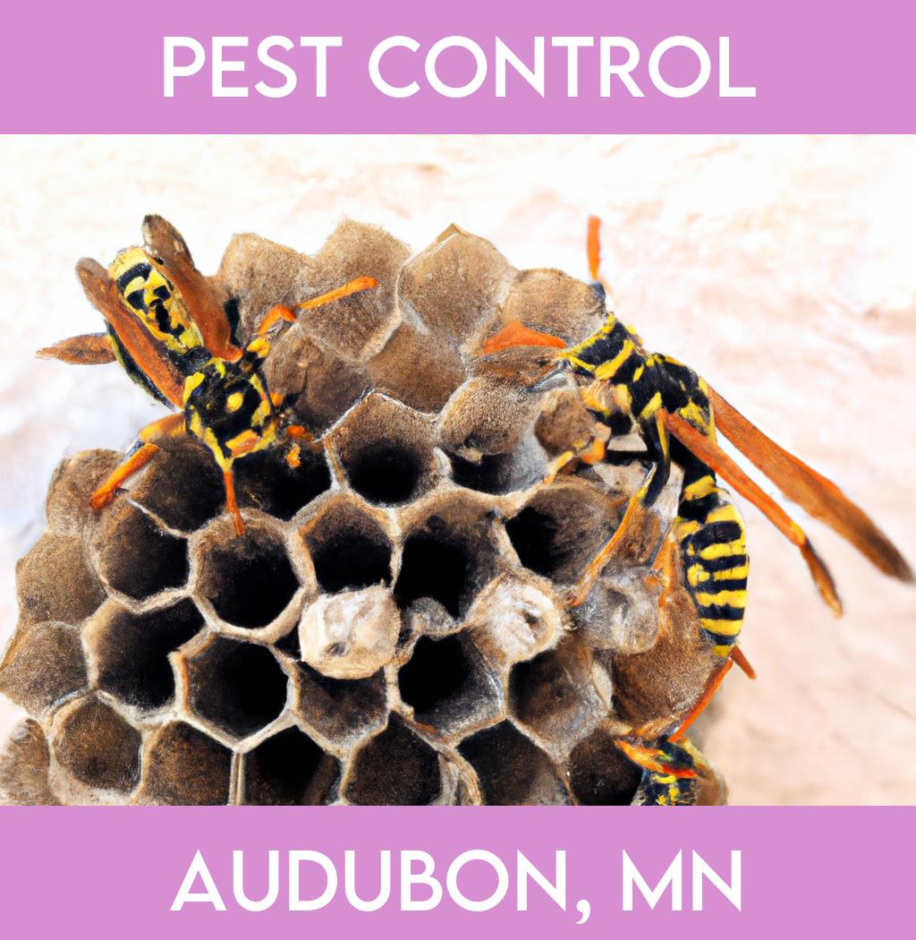 pest control in Audubon Minnesota