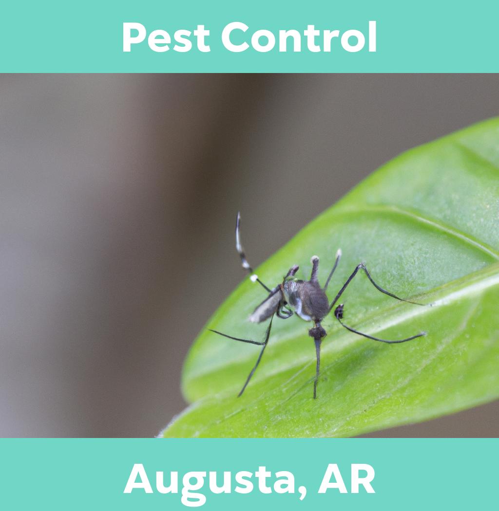 pest control in Augusta Arkansas