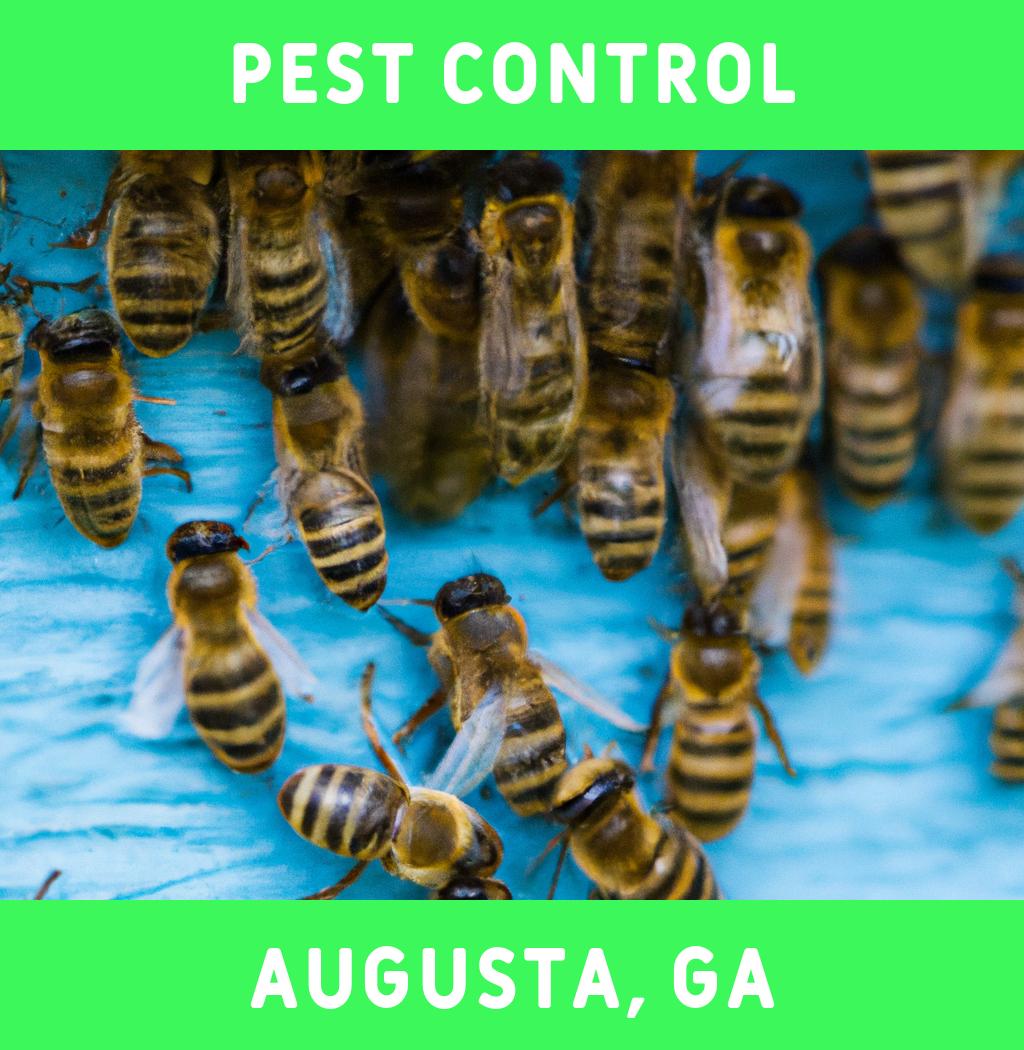 pest control in Augusta Georgia