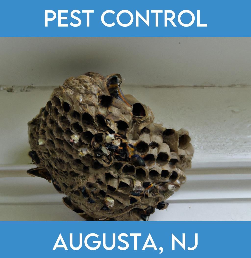 pest control in Augusta New Jersey
