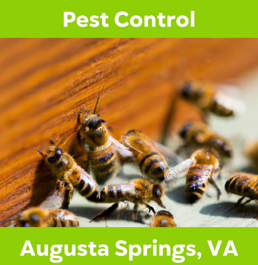 pest control in Augusta Springs Virginia