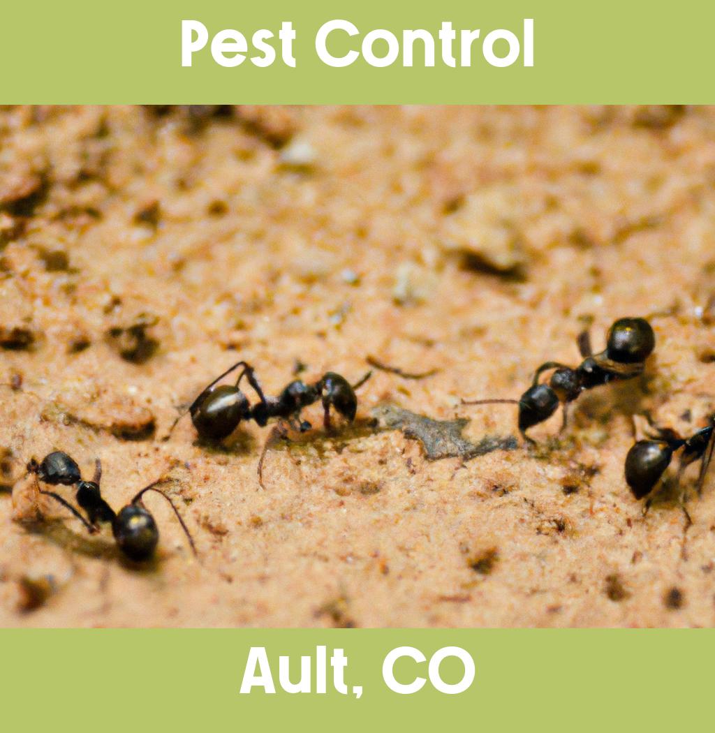 pest control in Ault Colorado