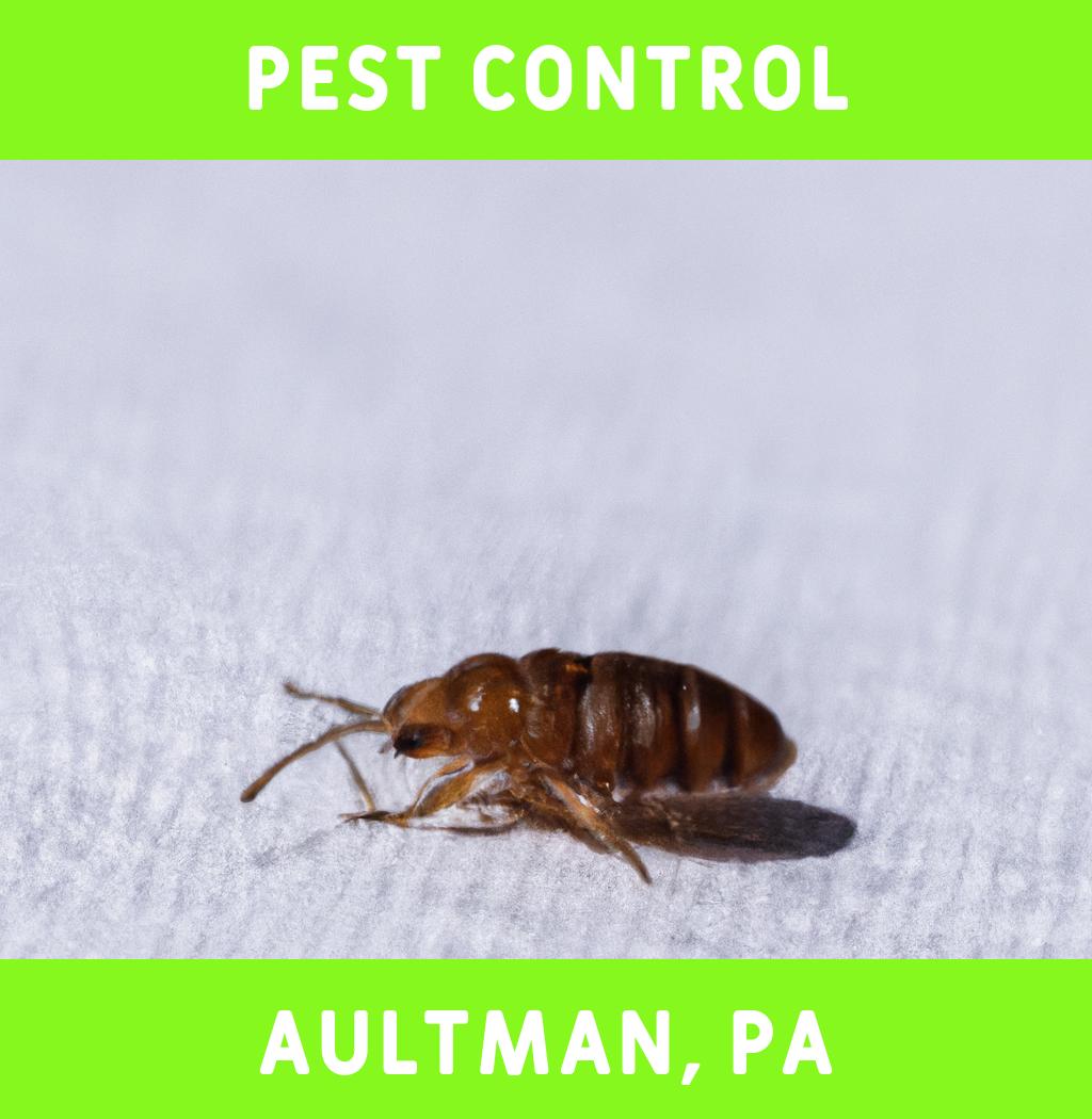 pest control in Aultman Pennsylvania