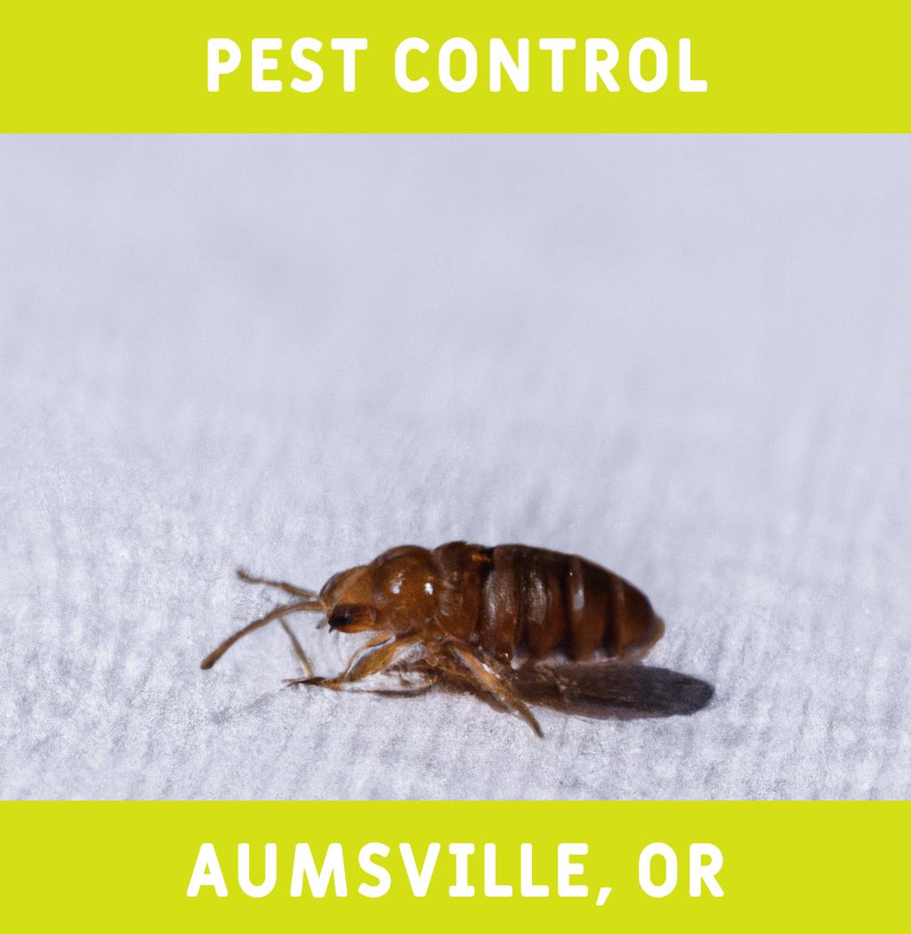 pest control in Aumsville Oregon