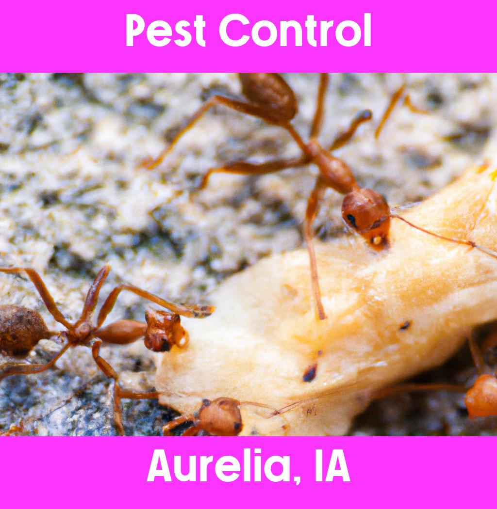pest control in Aurelia Iowa