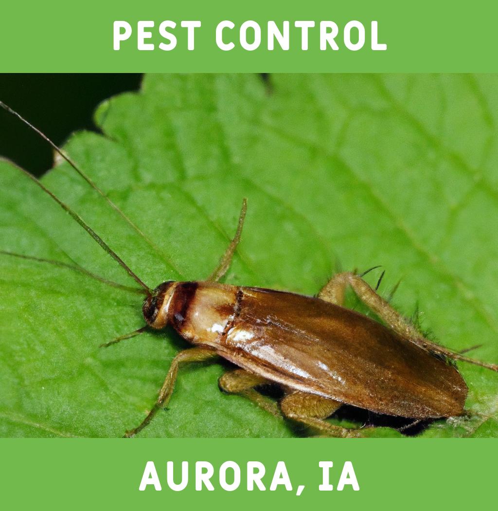 pest control in Aurora Iowa