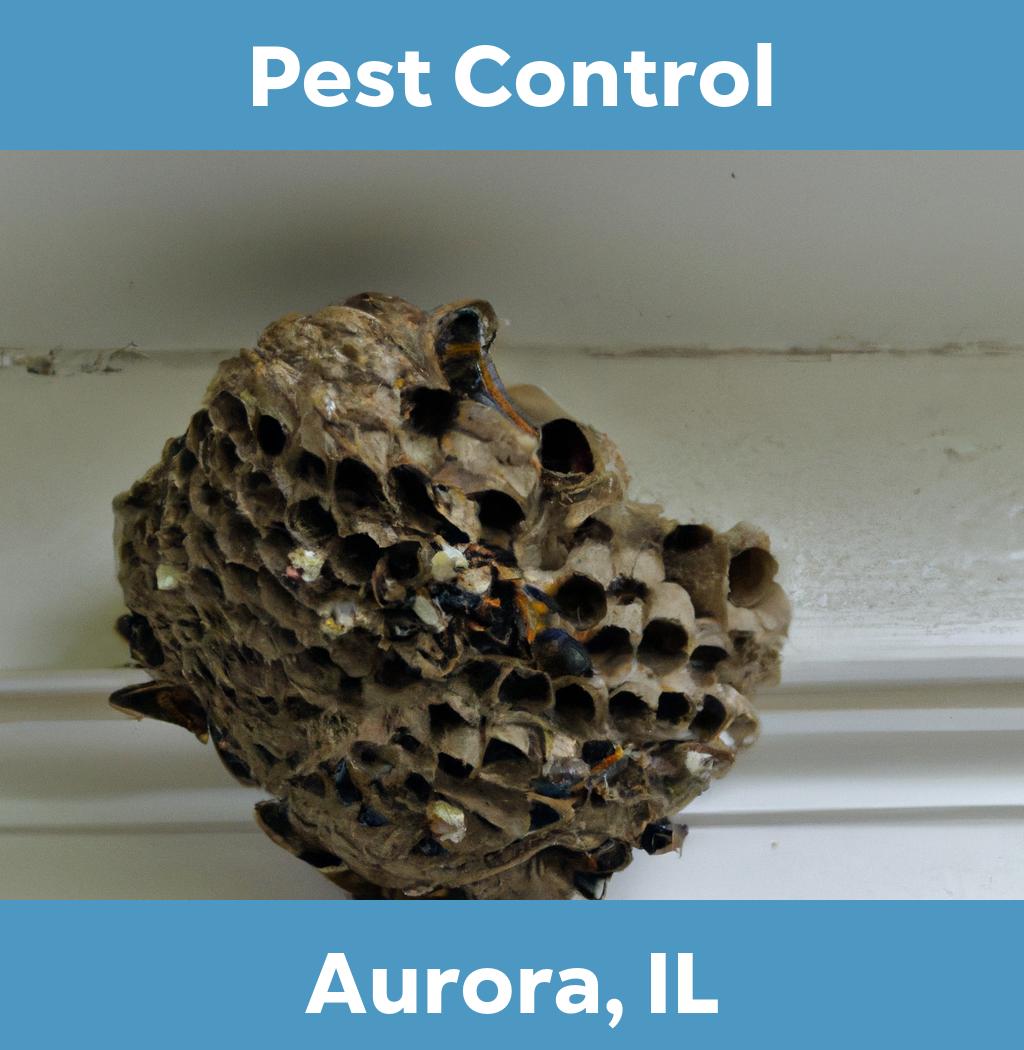 pest control in Aurora Illinois