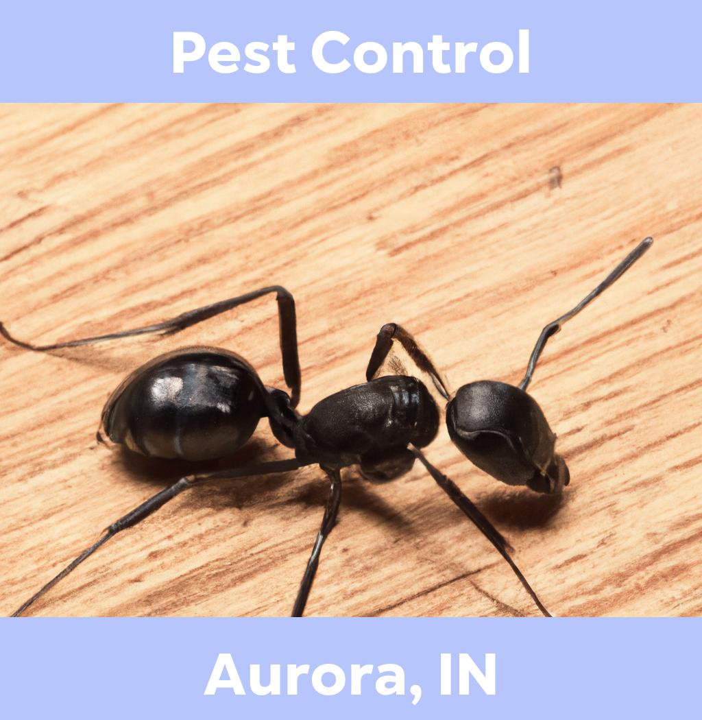 pest control in Aurora Indiana