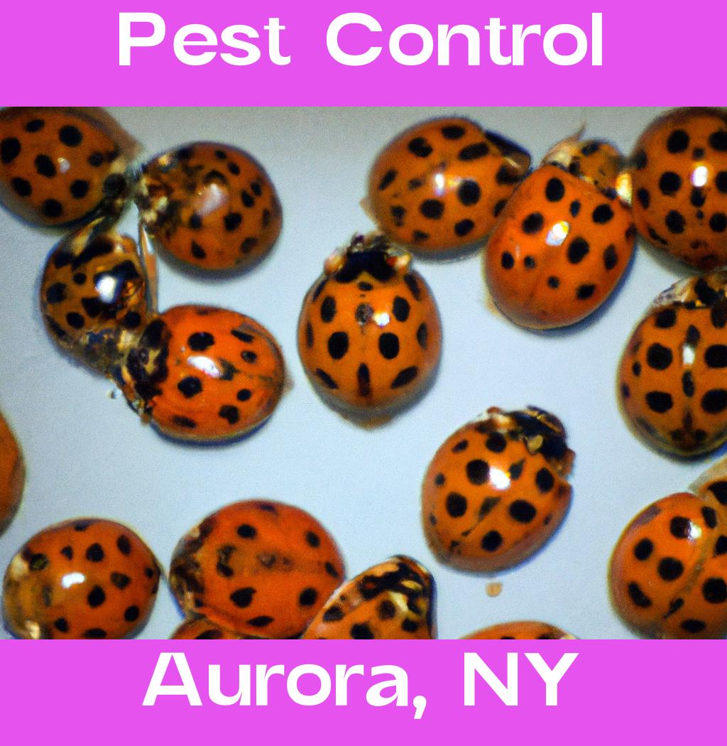 pest control in Aurora New York