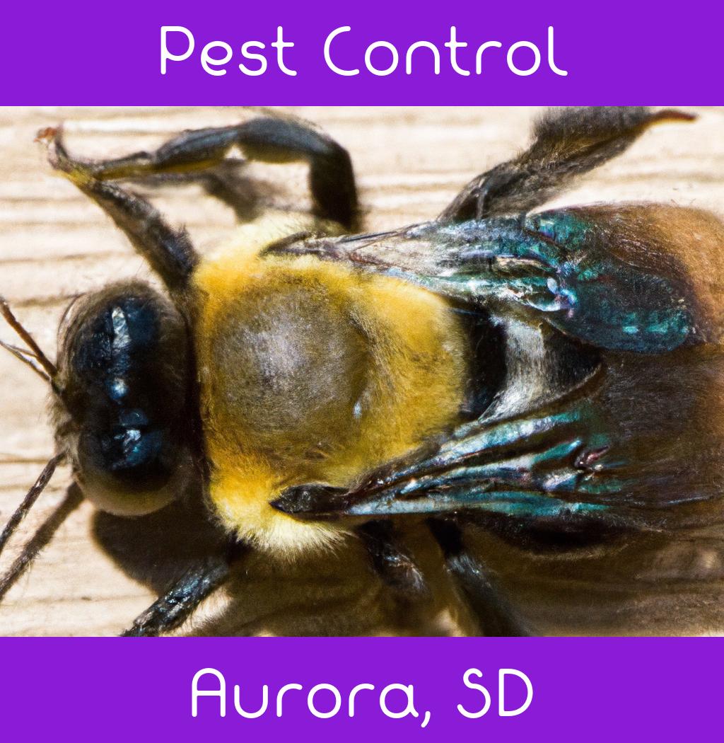 pest control in Aurora South Dakota