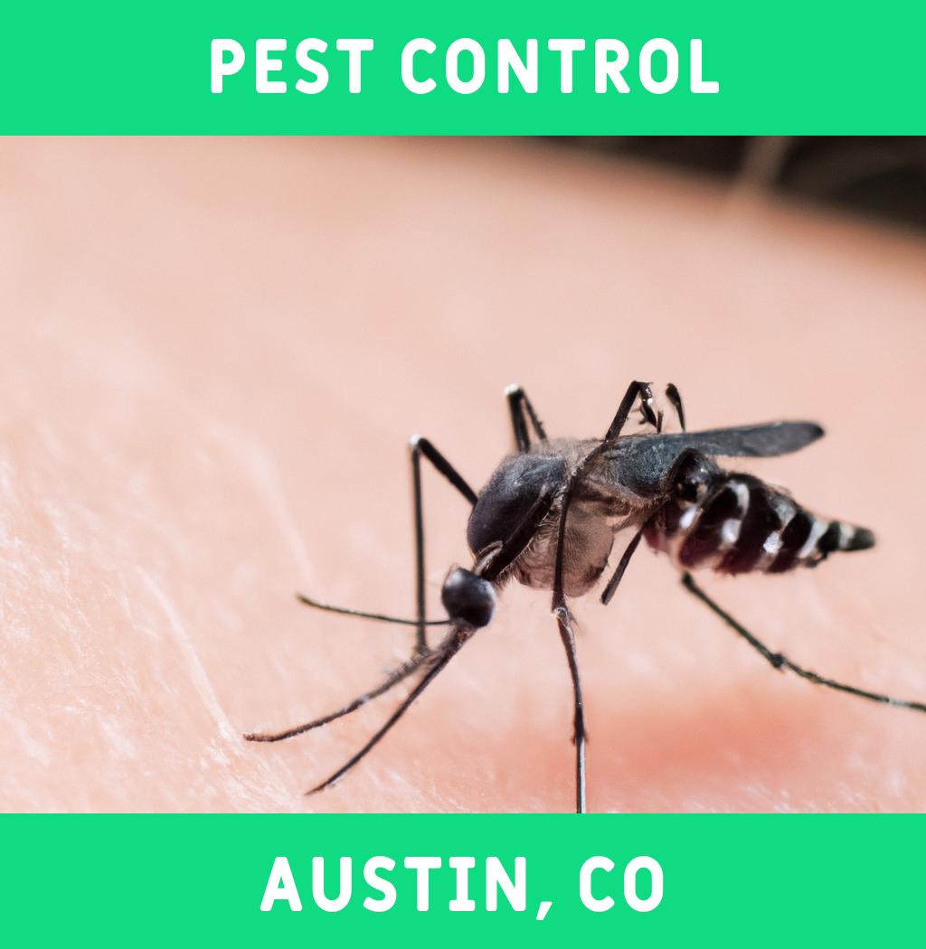 pest control in Austin Colorado