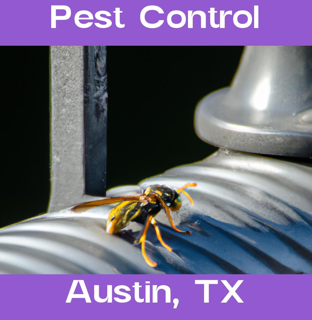 pest control in Austin Texas