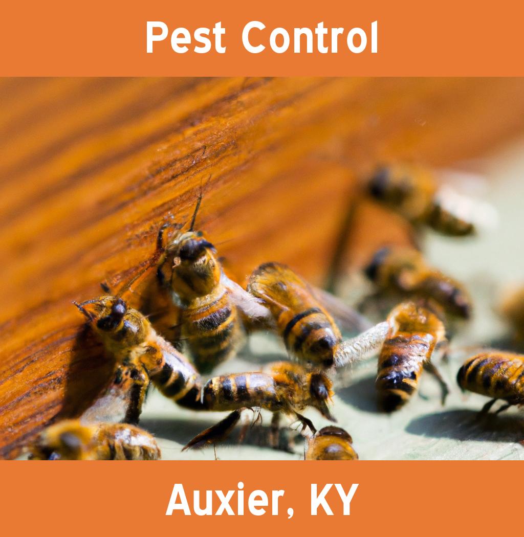 pest control in Auxier Kentucky