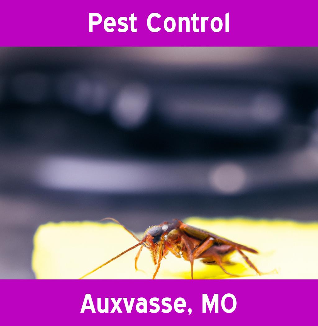 pest control in Auxvasse Missouri
