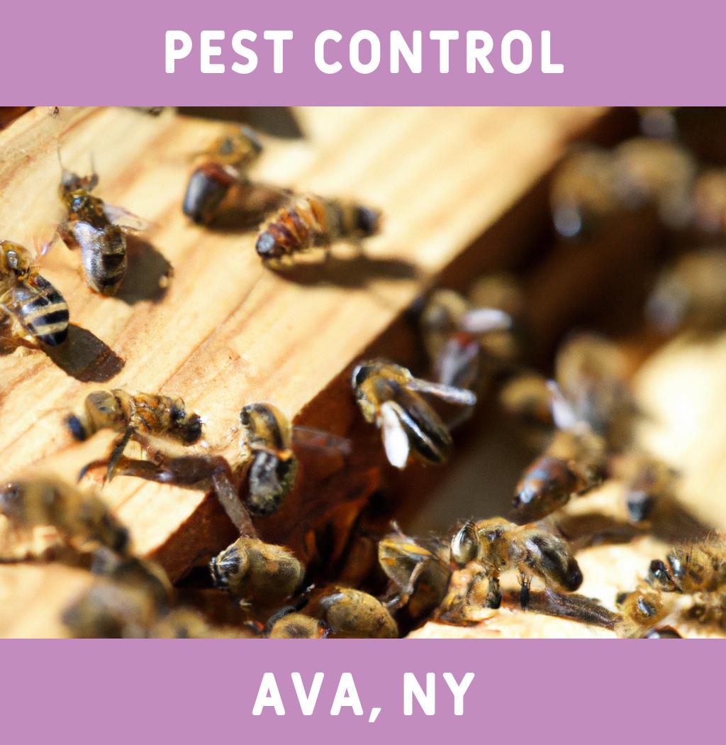 pest control in Ava New York