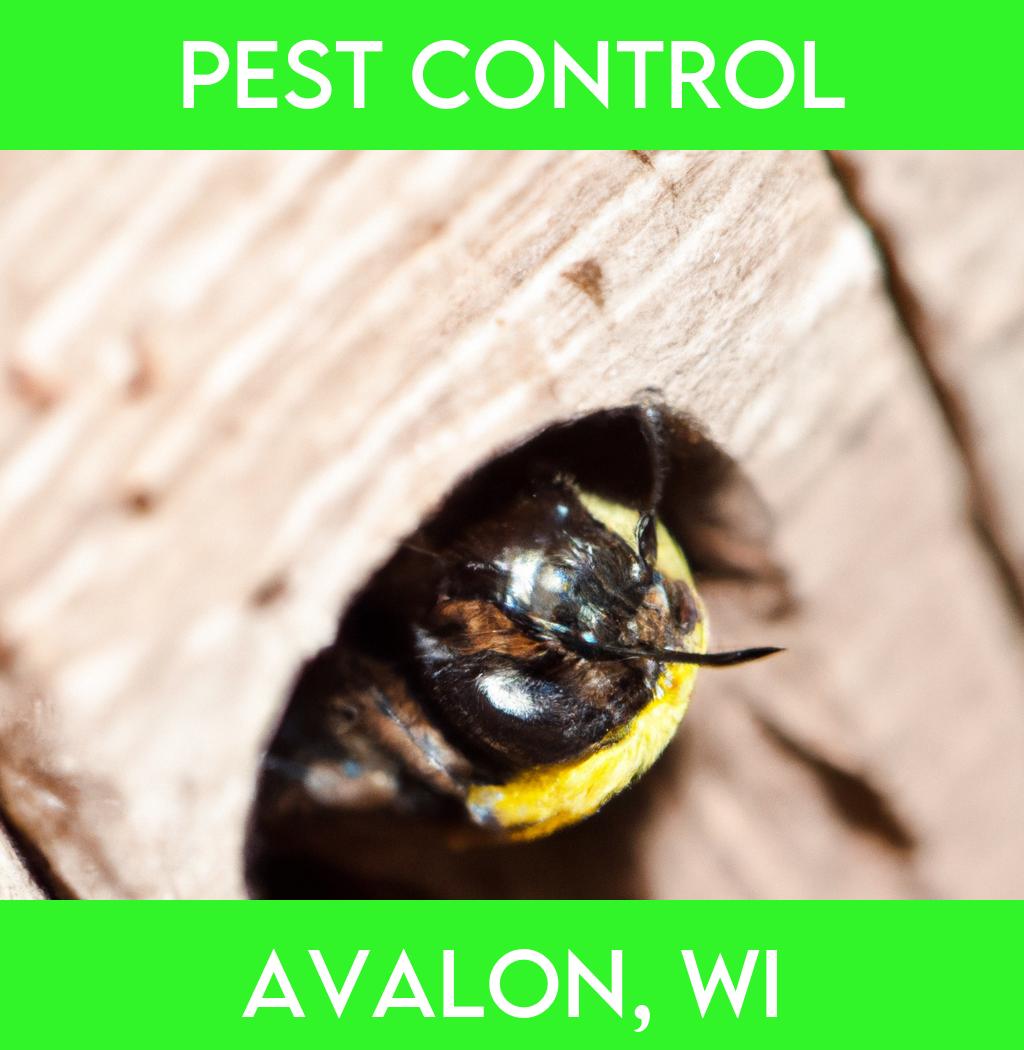 pest control in Avalon Wisconsin