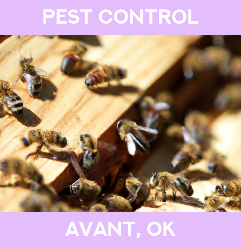 pest control in Avant Oklahoma