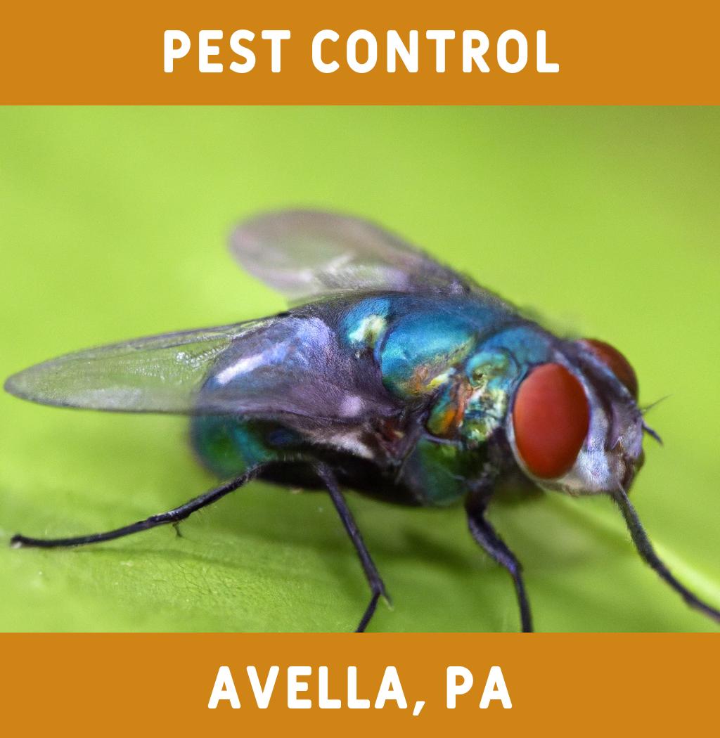 pest control in Avella Pennsylvania