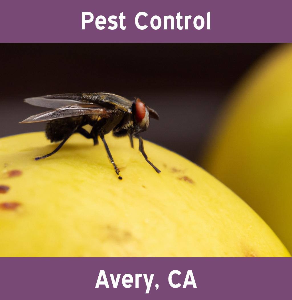 pest control in Avery California
