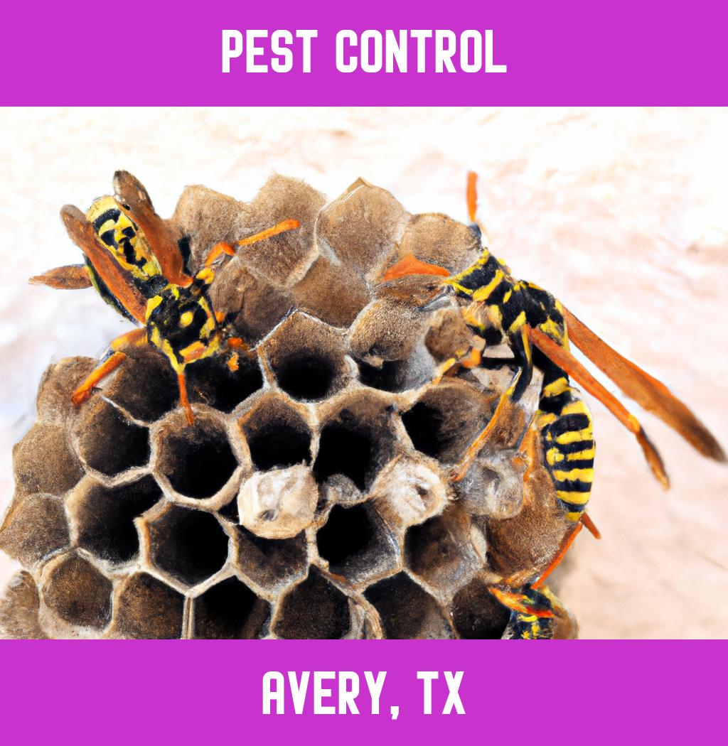 pest control in Avery Texas