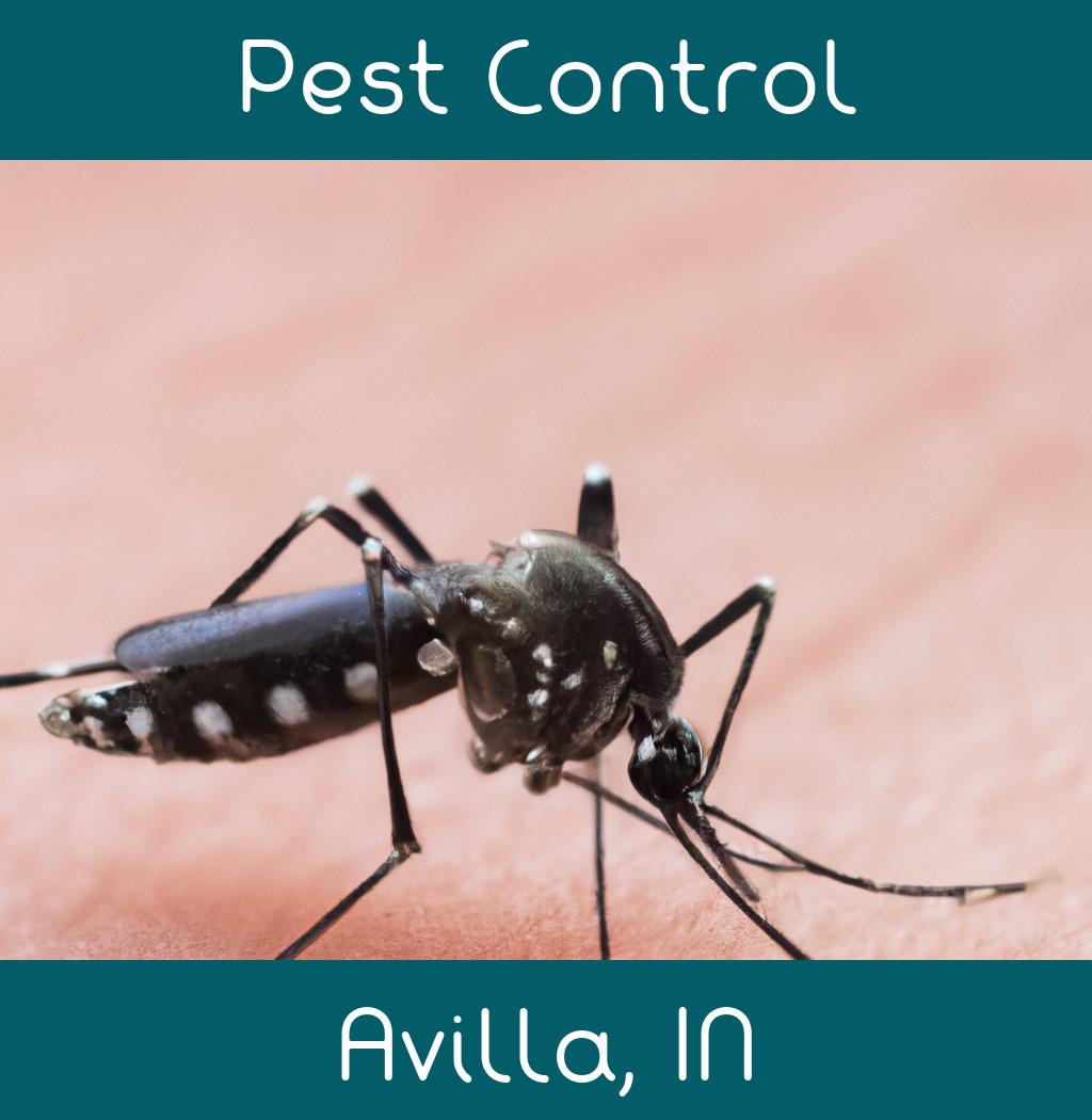 pest control in Avilla Indiana