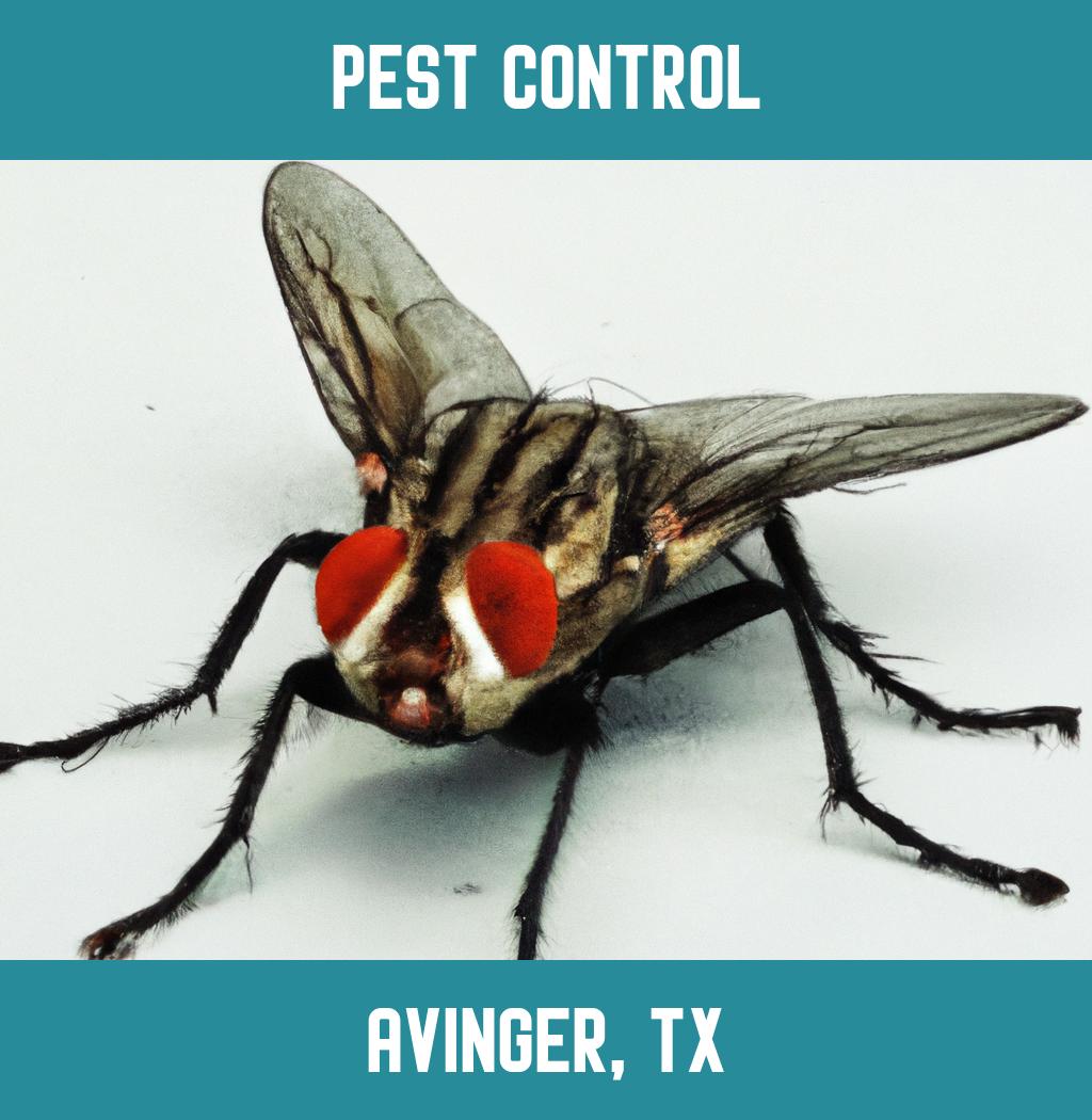 pest control in Avinger Texas