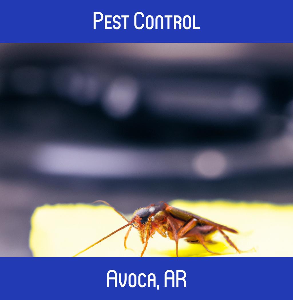 pest control in Avoca Arkansas