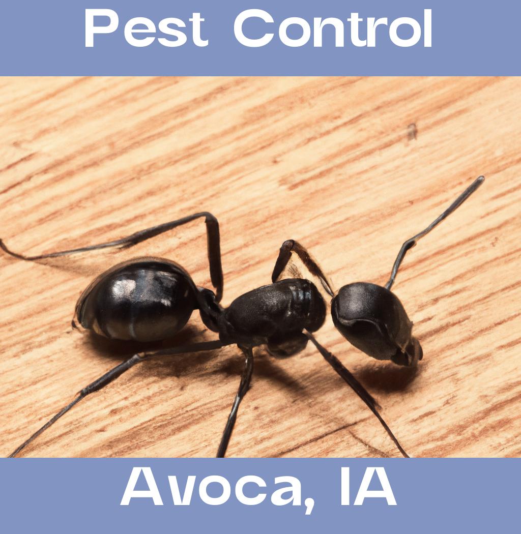 pest control in Avoca Iowa