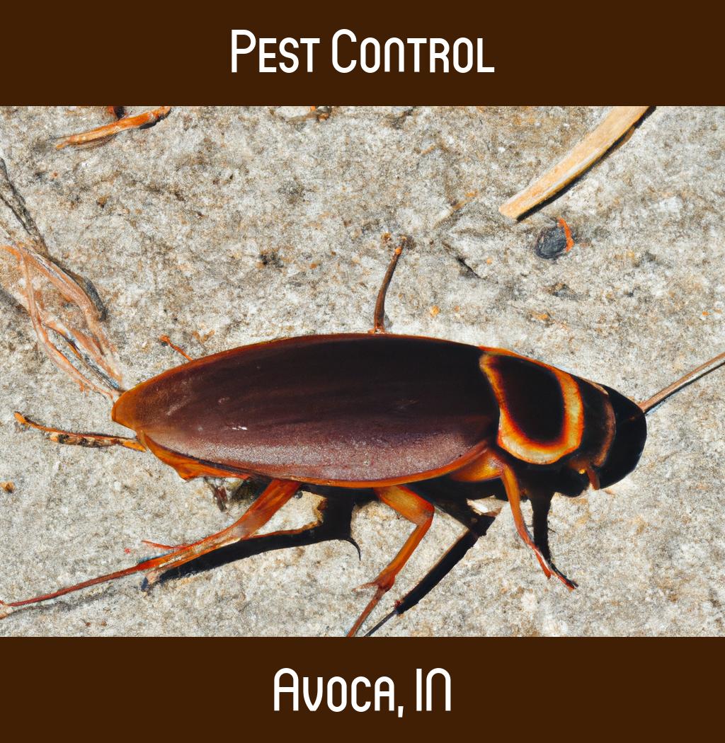 pest control in Avoca Indiana