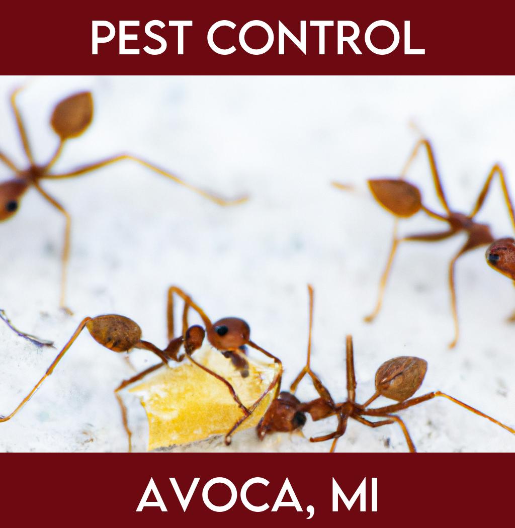 pest control in Avoca Michigan