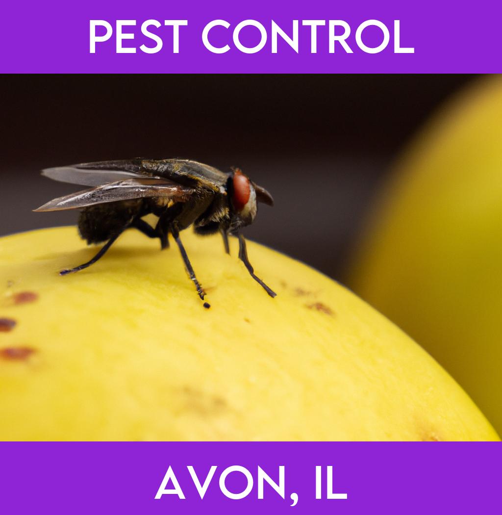 pest control in Avon Illinois