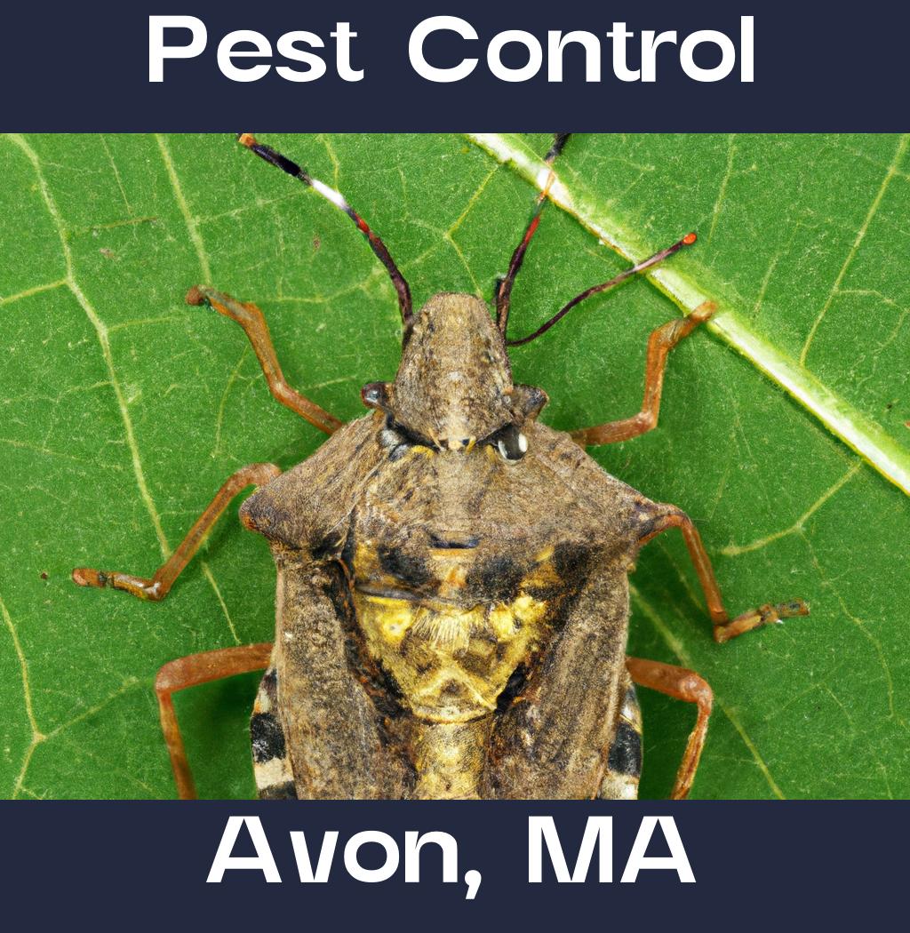 pest control in Avon Massachusetts