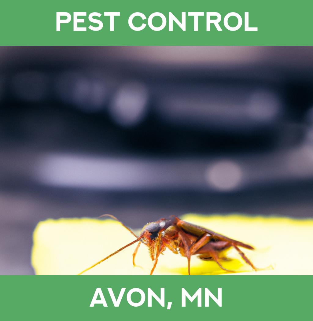 pest control in Avon Minnesota