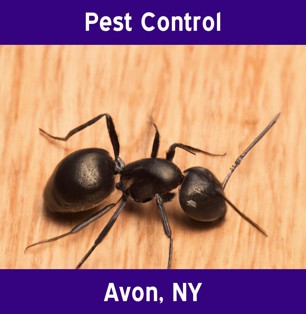 pest control in Avon New York