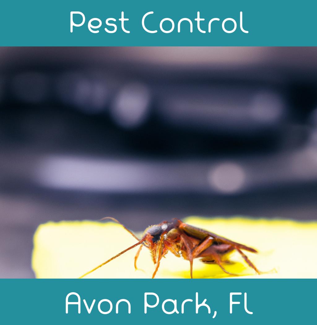 pest control in Avon Park Florida