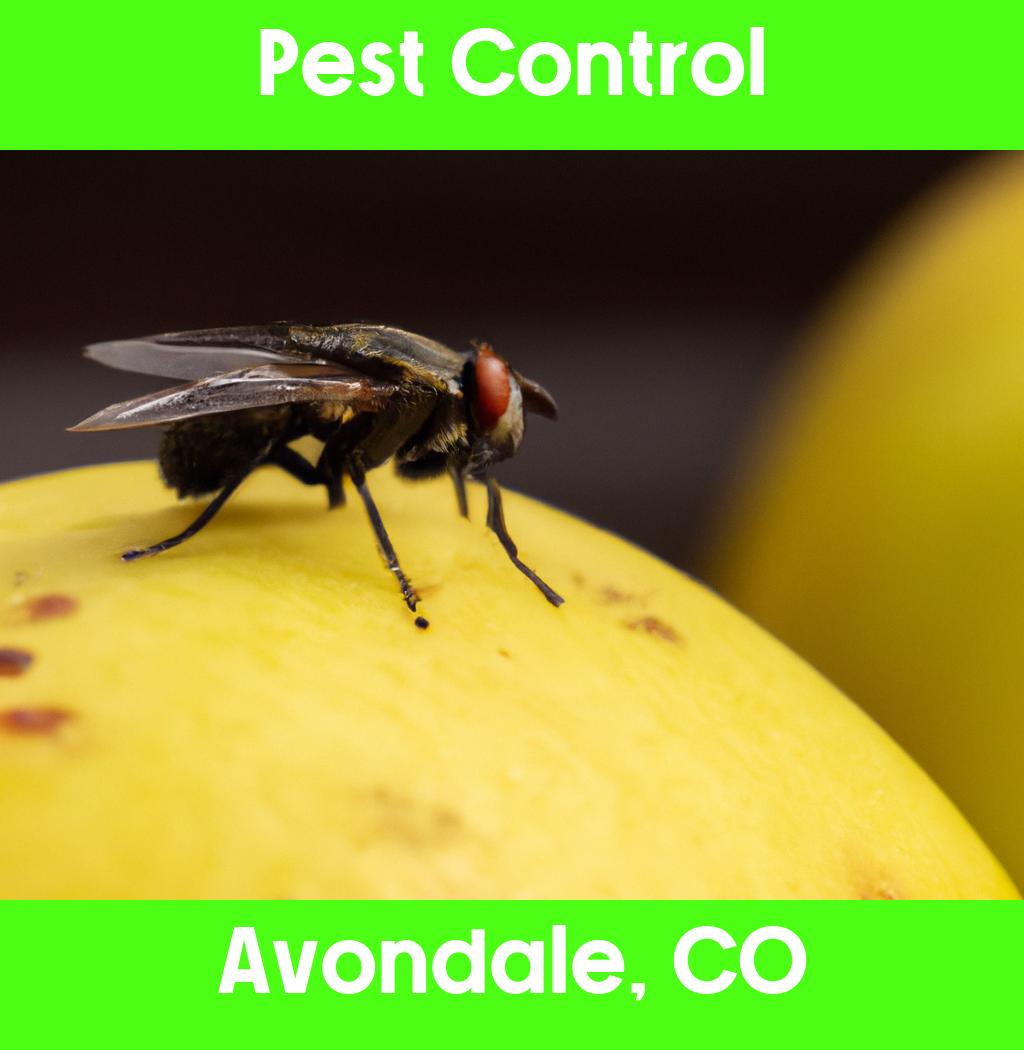 pest control in Avondale Colorado