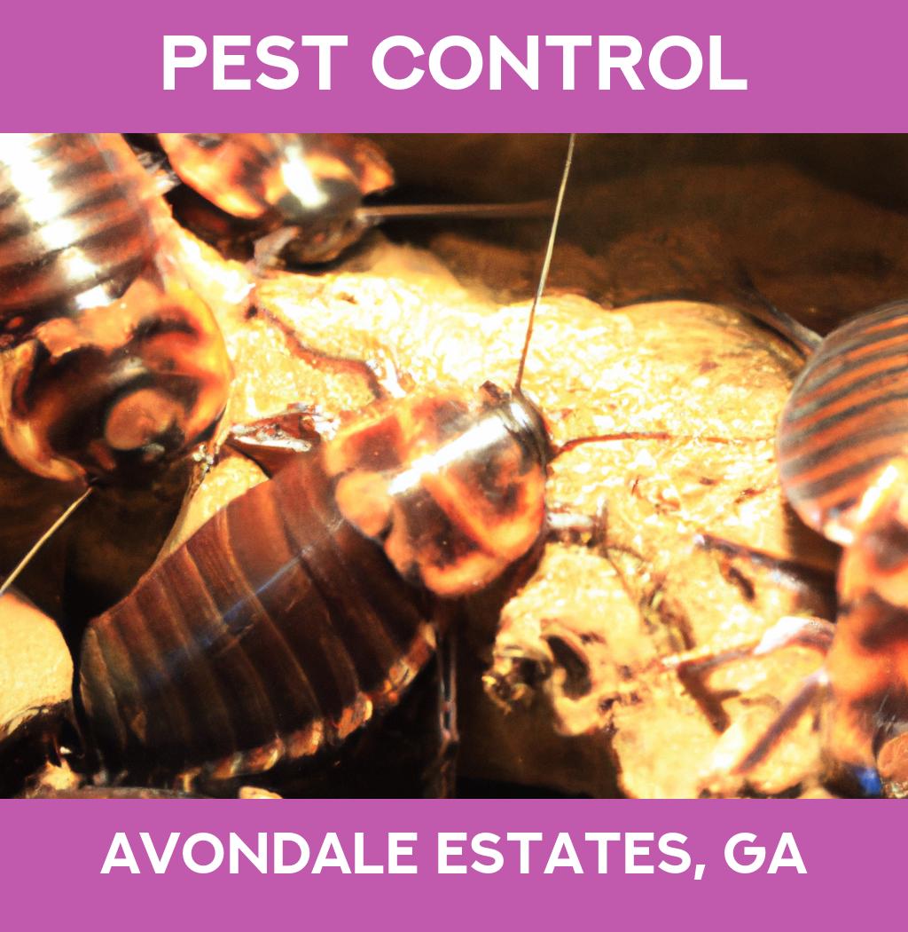 pest control in Avondale Estates Georgia