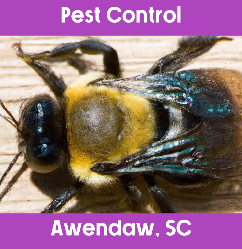 pest control in Awendaw South Carolina
